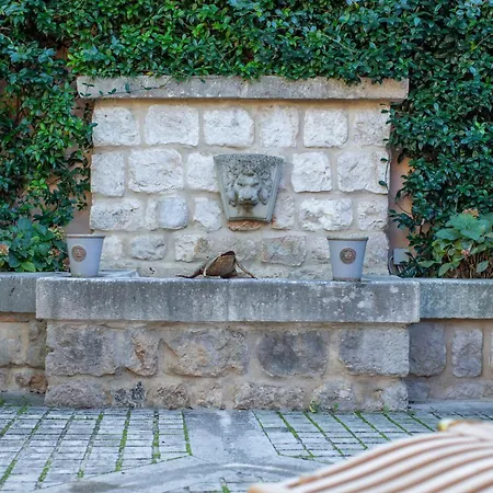 فيلة Garden House